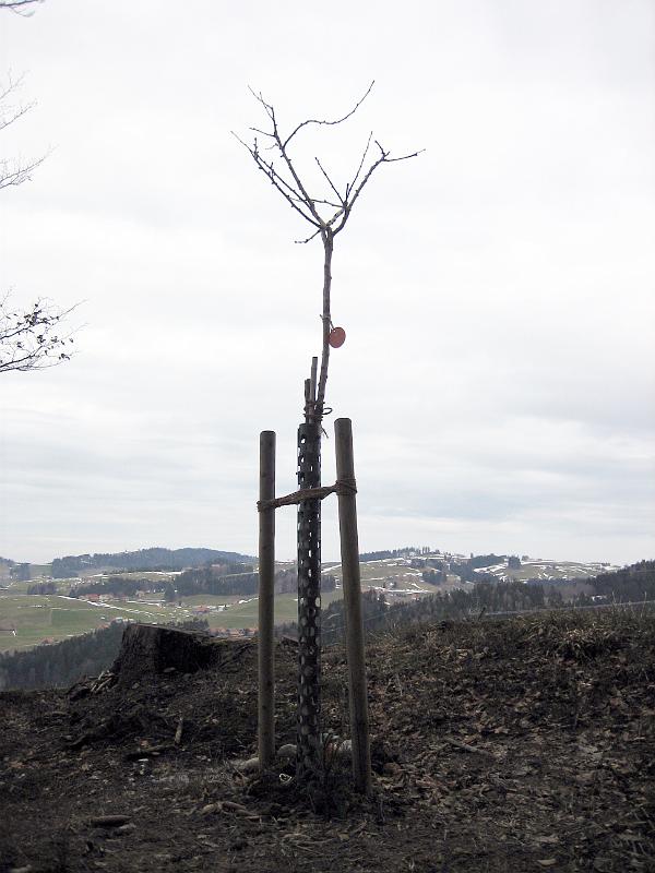 2010 03 20 A